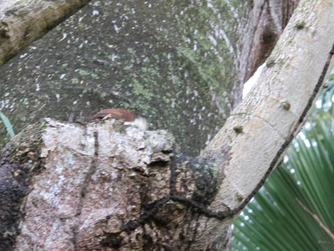 Monteria · sesión del laboratorio