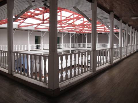 Pasto · sesión del laboratorio