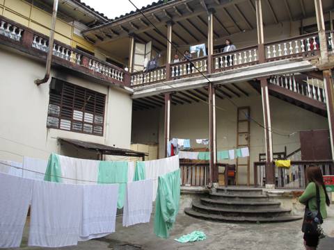 Pasto · sesión del laboratorio